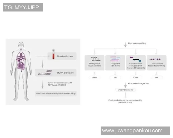 武汉排球队团队协作表现的数据分析与提升策略探讨 武汉排球队团队协作表现的数据分析与提升策略探讨