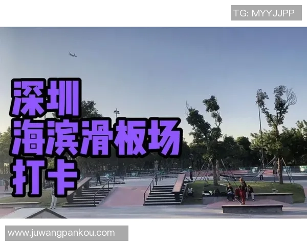 深圳滑板队的速度挑战与成长之路探秘